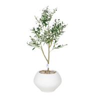 Artificial Olive Tree with Paula Pot