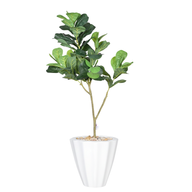 Artificial Maple Tree with Paula Pot