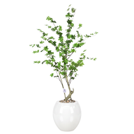 Artificial Maple Tree with Paula Pot