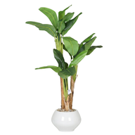 Artificial Banana Tree with Kora Planter