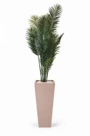 Modern Artificial Areca Planter In Obelisk Pot
