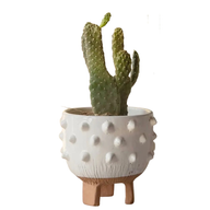 Monster Pot – Sculptural Pottery Planter