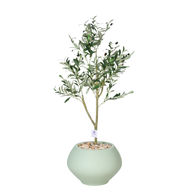 Artificial Olive Tree with Paula Pot