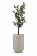 Olive Artificial Tree In Luna Pot