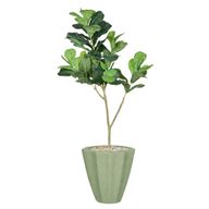 Artificial Maple Tree with Paula Pot