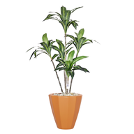 Artificial Dracaena Marginata in Terrazzo Planter