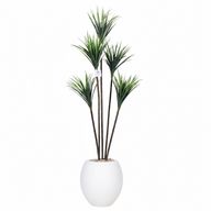 Artificial Dracaena Tree with Paula Pot