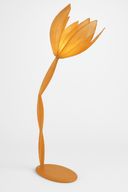 إضاءة أرضية الزهرة