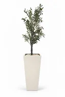 Tall Olive Tree Artificial In Obelisk Pot