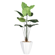 Artificial Taro Tree in Terrazzo Pot