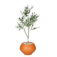 Artificial Olive Tree with Kora Planter Pot