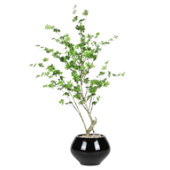 Artificial Maple Tree with Kora Planter