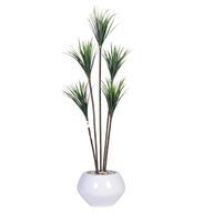 Artificial Dracaena Tree with Paula Pot