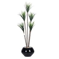 Artificial Dracaena Tree with Paula Pot
