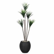 Artificial Dracaena Tree with Paula Pot