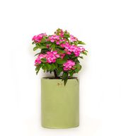 Hapi Pot - Concrete Modern Minimalist Design