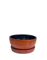 أصيص نبات ديكوري مزود بطبق