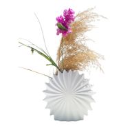 Seashell Vase