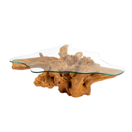 طاولة جذور مدغشقر