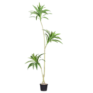Artificial Dracaena Tree 180 cm