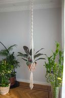 Long Half Spiral Hanging Planter