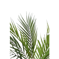 3293SU4HBIqvJ6yEjErAYdjCQDCOPat4ywdJBHut.png