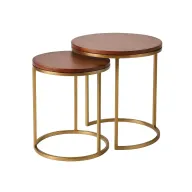 Dana Metal Side Tables With Wooden Tops