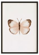 لوحة مطبوعة لفراشة وردية