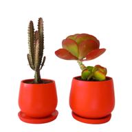 Set 1 - Outdoor Duo, Medium Size
