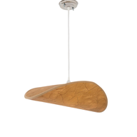 Trunks Ceiling Light ce_mo_11