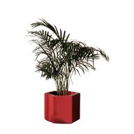 Fiber Hex Plant Pot