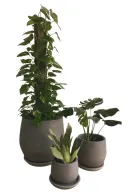 Grey Trio Pot with Plants