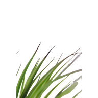 5Gu79UYDqSXDsE44gwKJHqctnJGFt4Wcb2CwbeCm.png