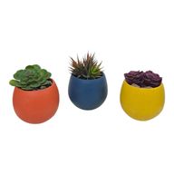Artificial Cactus Set with Decorative Pots
