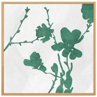 Botanical Silhouette 1 Framed Print