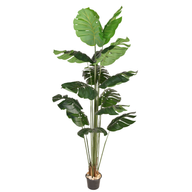 5sGmSJ8Q8LOgByeYbgBODfv8jdN8X8E39kCbBTDZ.png