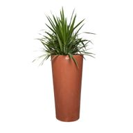 Montu Planter