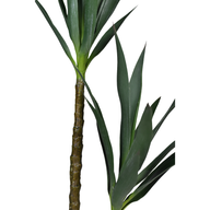 7Y3xhc6GLxq5iWPVATNVixkhj5qNiv12Ea6H9c37.png
