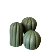 ميني كاكتس تريو من الفخار