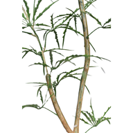 897eA703SpDyPt0gkiwFGc4RA7fbFqxYq9cfmpY8.png