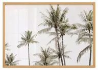 Palm Trees Print 5
