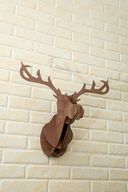 هوب - رأس الغزالة