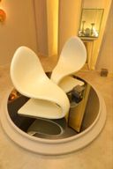 Cobra Chair - Unique Design