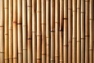 البامبو الصديق للبيئة