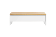 Bastin Coffee Table