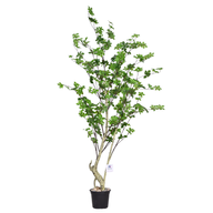 Artificial Ficus Tree