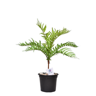 DOmGvrOzbPJuUTkNKF6ijdVRayXay94OF5ybywDQ.png