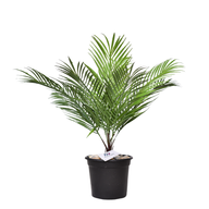 Artificial palm branch with long leaves 50 cm