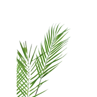 EplrdmP5GaIBudfiLMxOGQ9OZc7ltF4qcSKxs55q.png