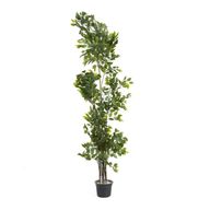 Artificial Benjamina Tree - Big Leaf